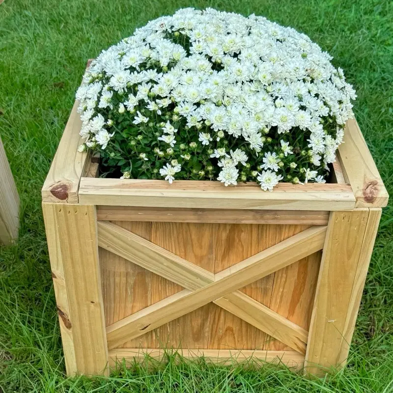 Custom Planter Boxes - Wooden Planter with X Design for Outdoor Use