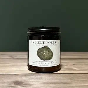 Ancient Forest Candle, Woodsy Earthy Scented Candle, Luxury Rustic Fragrance, PNW Forest Inspired, Eco Friendly Soy Wax, Amber Glass Jar