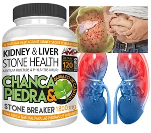 Chanca Piedra 1800 mg 120 CAPSULES Peruvian material Stone Breaker CHANCAPIEDRA for Kidney & Liver Health