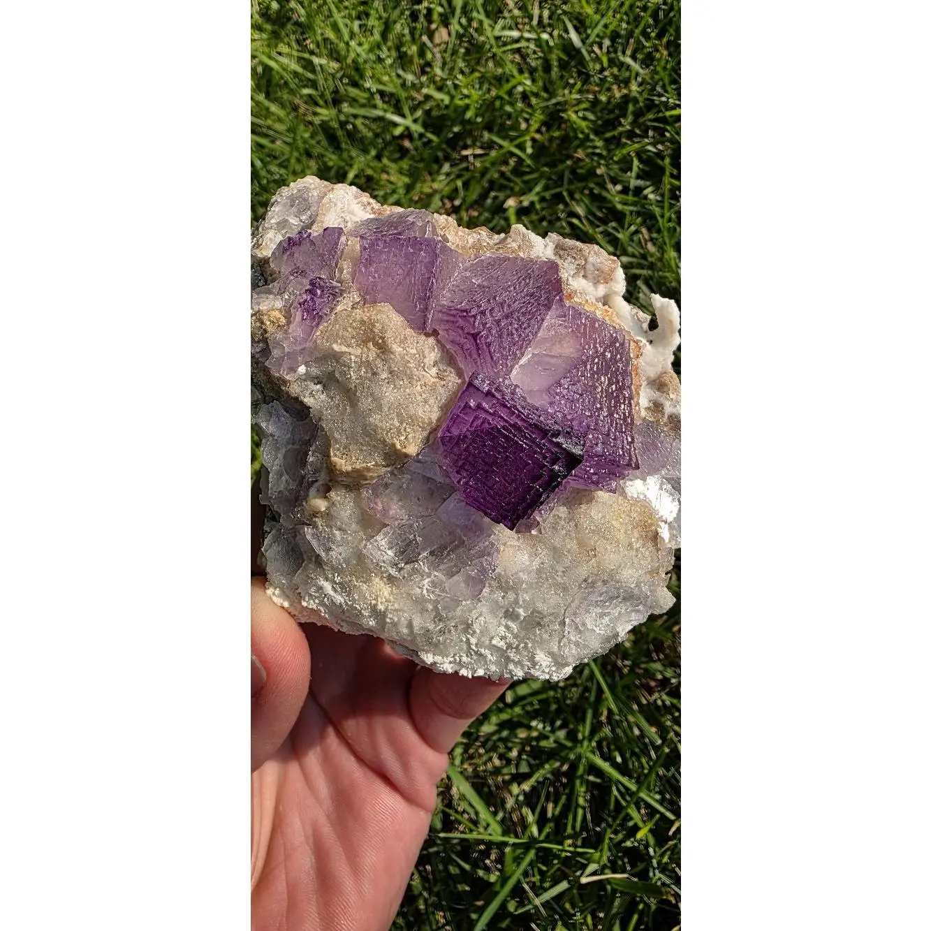 Deep Purple Stepped Navidad Fluorite Showpiece Crystals 526g