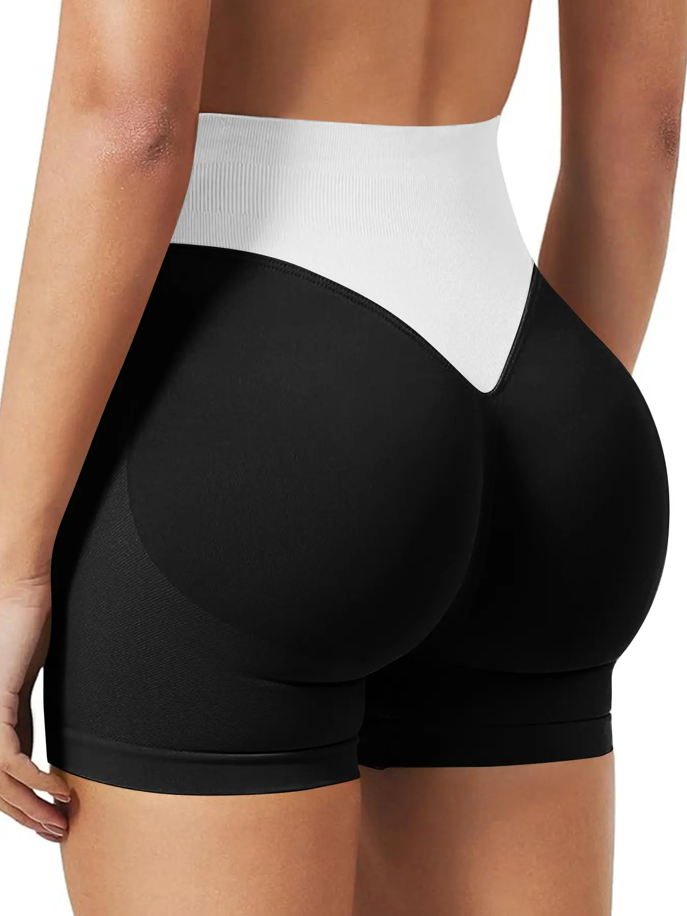 Sport Studio Women & Girls Elastic Seamless Gym Shorts, Comfortable Padded Gym Shorts for Cycling & Exercise Wear