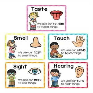 5 Piece Educational Five Senses Posters, Kindergarten Classroom Learning Charts, Classroom Supplies Charts, Teaching Supplies, Learning Materials, High Quality Paper Wall Art, Waterproof Layer, Eco-Friendly Ink, Large Size