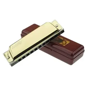 10hole Diatonic Harmonica Key of C Blues Harp Professional harmonica
