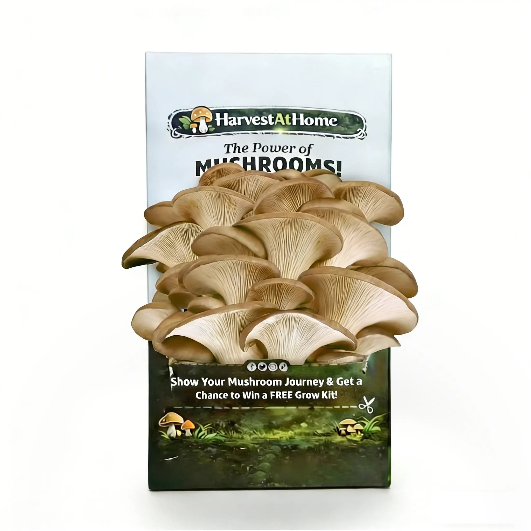 【2026 NEW】Organic Oyster Mushroom Grow Kit 3.5 lb | 1-7 Days Harvest | Easy to Grow Indoor | No Soil/Sun Required, Multiple Harvests | USDA Organic | Non-GMO | Made in USA | Perfect for Home Kitchen & Gardening EnthusiastsGift for Adults & Kids