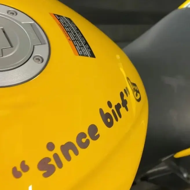 since birf sketch sticker decal