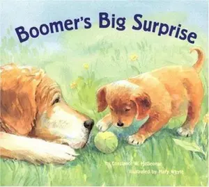 USED-Boomer's Big Surprise (Boomer, BOOM) by McGeorge, Constance W. (Paperback)