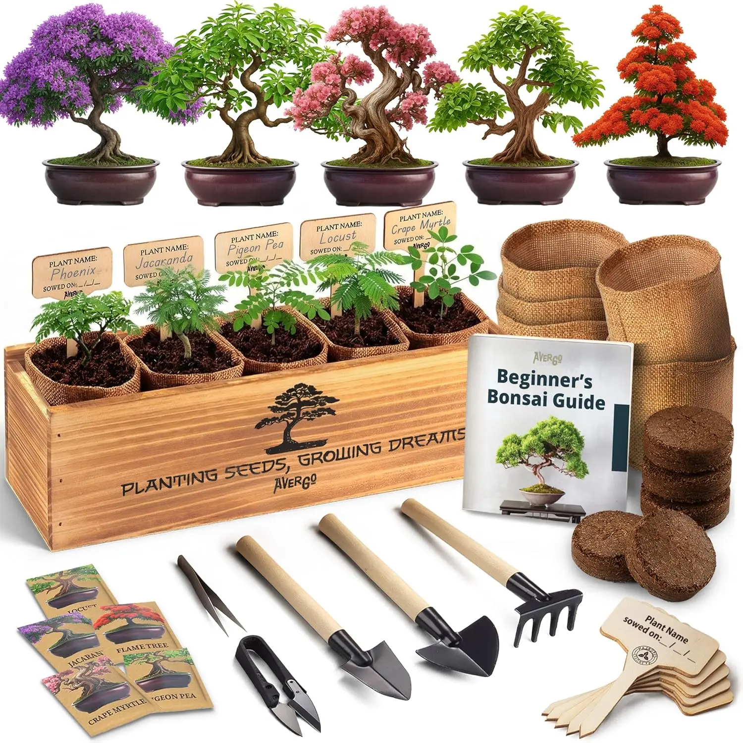 Bonsai Tree Kit for Beginners – 5X Unique Japanese Bonzai Trees |   Complete Indoor Bonsai Starter Kit for Growing Bonsai Plants with Tools & Planters – DIY Gardening Gifts for Women & Men