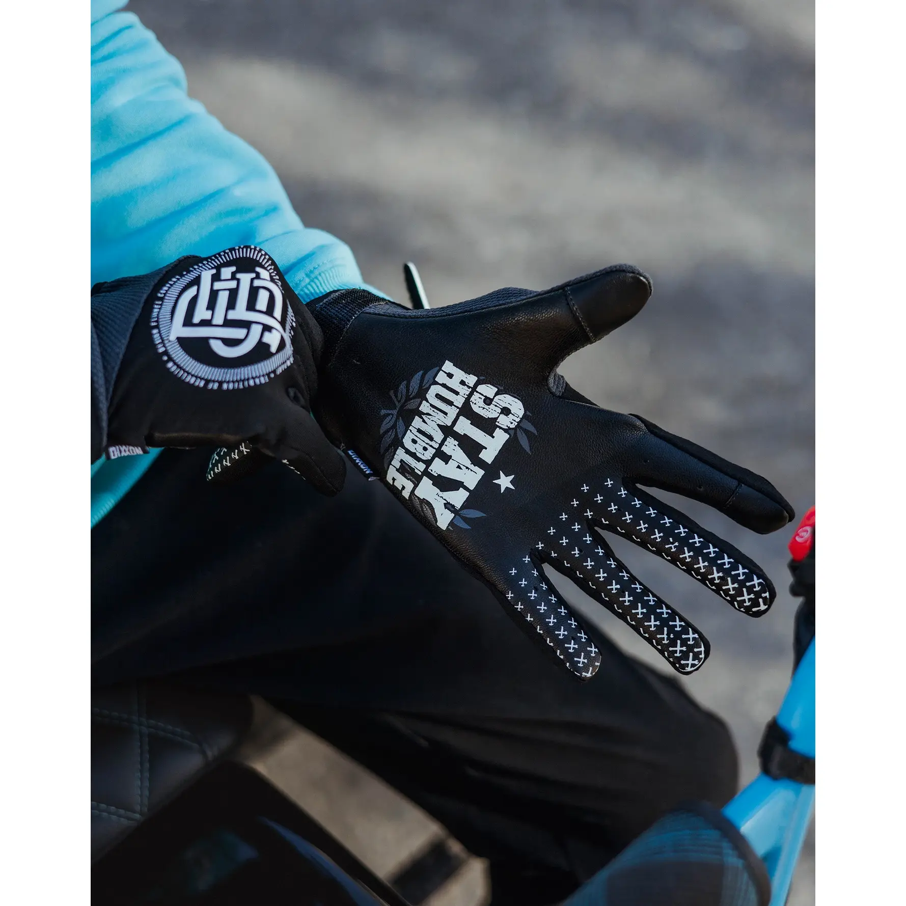 Insignia Motorcycle Gloves, Protective Riding Gear for Motorcyclists, Gloves Motorcycle