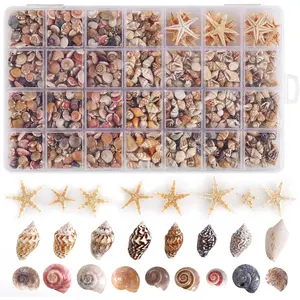 60 count  Starfish 1800 count  Mini Small Sea Shells for Crafting Spiral Conch Shells for Crafts Charms for Home Decorations Candle Decor DIY Fish Tank and Beach Vase Filler