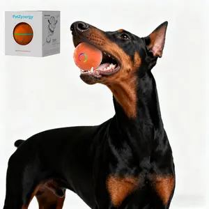 USB Squeaking Dog Toys PetZynergy Pet Toy Ball - Interactive Fetch Ball for Dogs - Perfect for Playtime and Exercise - High Bounce and Durability Durable Chew dog products dog christmas gifts