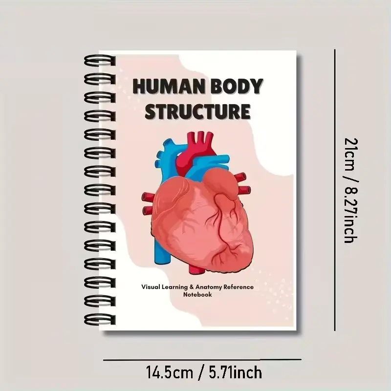 Visual Human Body Anatomy Teaching Guide, Full Diagram Breakdown, Proportions, Ideal for Art Students, Cartoon & Animation Artists, Enhances Drawing Skills, Steno Notebook, Muscles