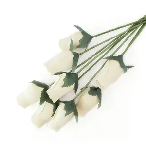 White Closed Bud Roses 8-Pack