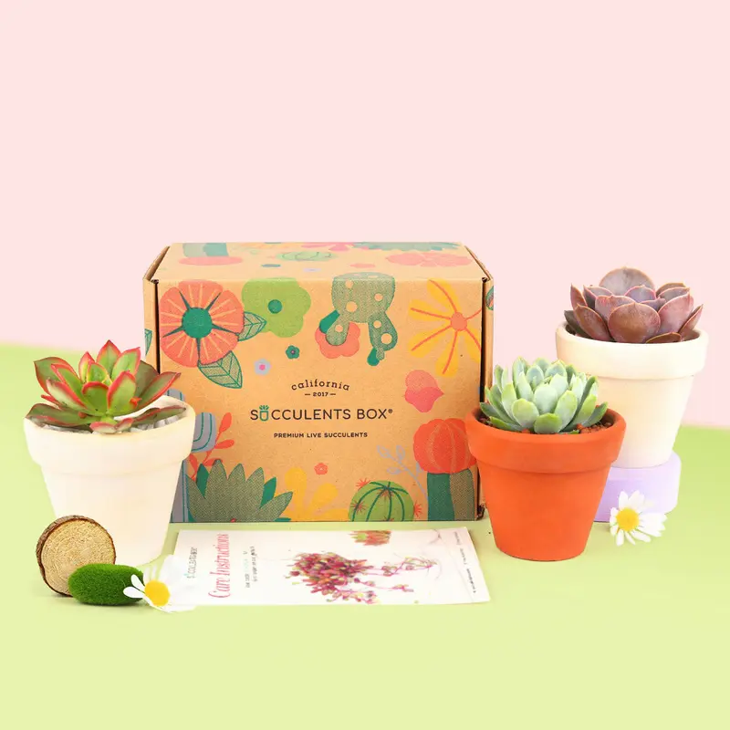 house plant subscription box - TikTok Shop