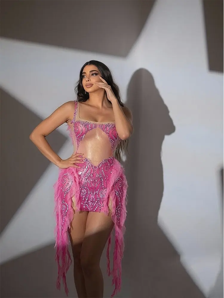 pink fringe rhinestone dress, sheer mesh bodycon dress, sparkly crystal stage costume, tassel mini dress, sleeveless club dress, dance performance outfit