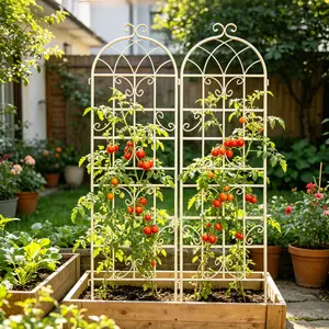 2 Pack Metal Garden Trellis 71" x 19.7" Rustproof Trellis for Climbing Plants Outdoor Flower Support