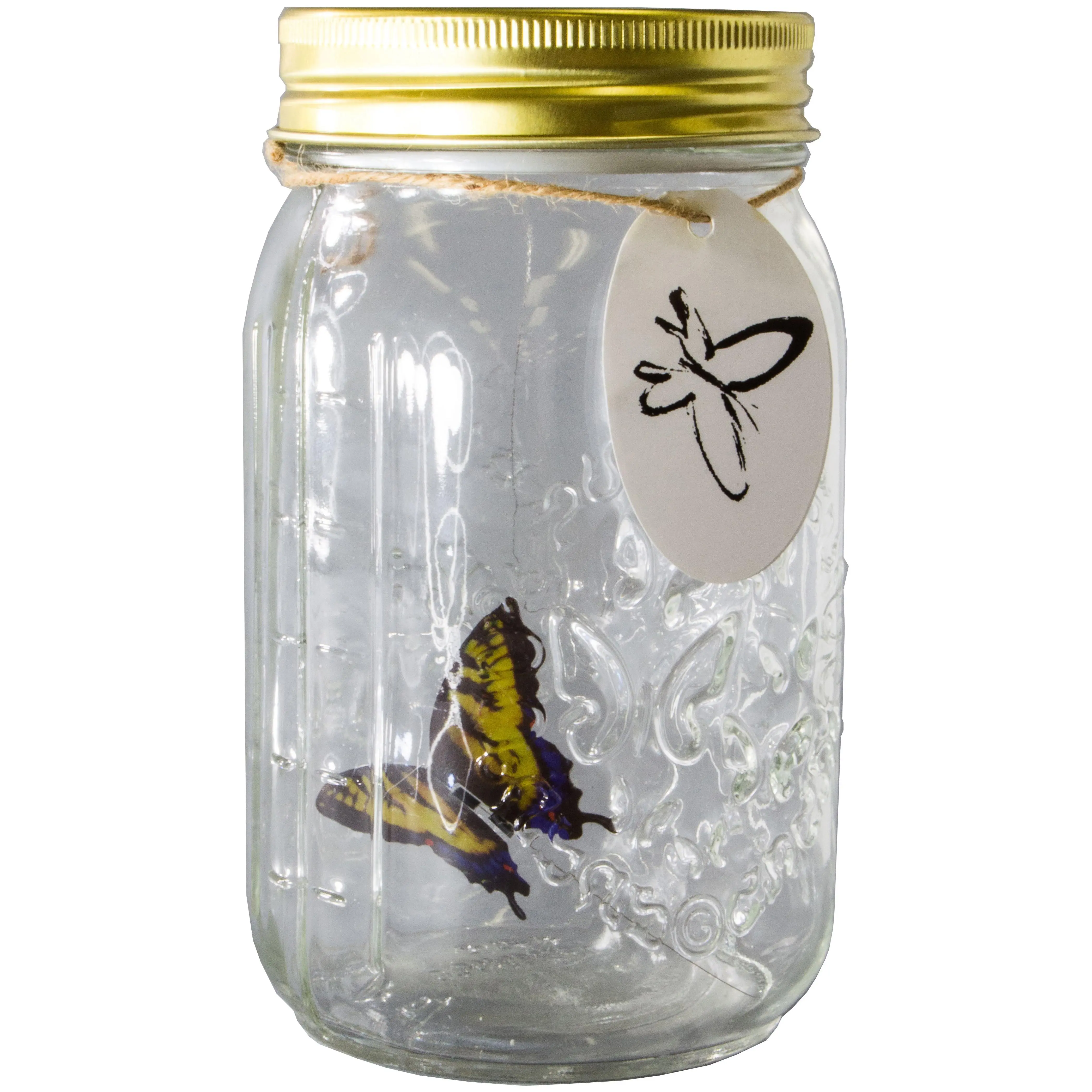 3.5" x 3.5" x 6.5" Animated Light-Up Yellow Swallowtail Butterfly in Glass Jar - Tap-to-Activate Blue LED Home Decor Figurine for Adults, Tap-To-Move