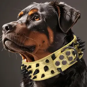 Heavy-Duty Dog Collar For Strong Dogs - Padded With Metal Studs For Protection, Durable Nylon Training Collar For Large Breeds Like Bulldogs