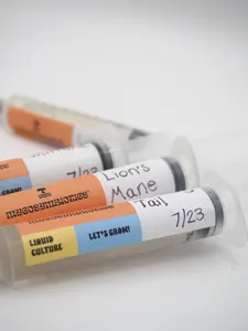 Liquid Culture Mycelium Syringe *Your Choice*