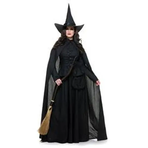 Women's Wicked Witch Costume, 5-Piece Polyester Halloween Character Costume Set with Matching Hat, Cape, Vest, and Bag, Coordinated Costume Set, Halloween Character Costume Sets
