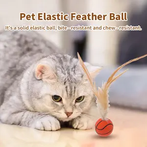 SmartWell Interactive Pet Toy Set Feather Ball And Crinkle Paper For Cats And Dogs Indoor Playtime Fun boredom busting toy girl cat cat toy