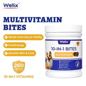 Wellix 260-Bites Dog 10-IN-1 Multivitamins Chewable Multivitamin Supplement for Skin Coat Mobility Joints Immunity & Health All Sizes Dogs