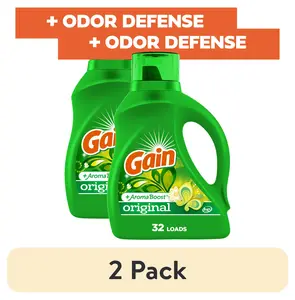 (2 pack) Gain Laundry Detergent Liquid with Odor Fighters, Original Scent, 46 fl oz, 32 Loads