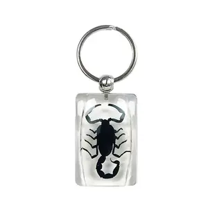 Real Black Scorpion Keychain Clear Real Nature Gift With Box