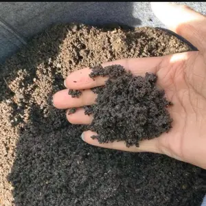 Worm Castings 1lb Natural Earthworm Byproduct for Soil Fertility & Plant Growth - Enhances Nutrients & Improves Aeration - Plant Gift