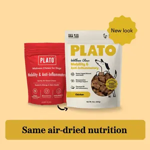 Plato Air-Dried Wellness Chews for Dogs | Mobility & Joint Support | Green-Lipped Mussel, Glucosamine & Hemp Seed Oil