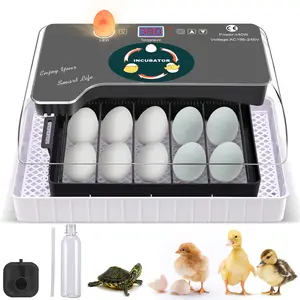 12-Egg Incubator with Humidity Display and Temperature Control, Automatic Egg Turning, External Water Supply, 360° Viewing Window, Suitable for Incubating Chicken, Duck, Goose, Pigeon, and Turtle Eggs