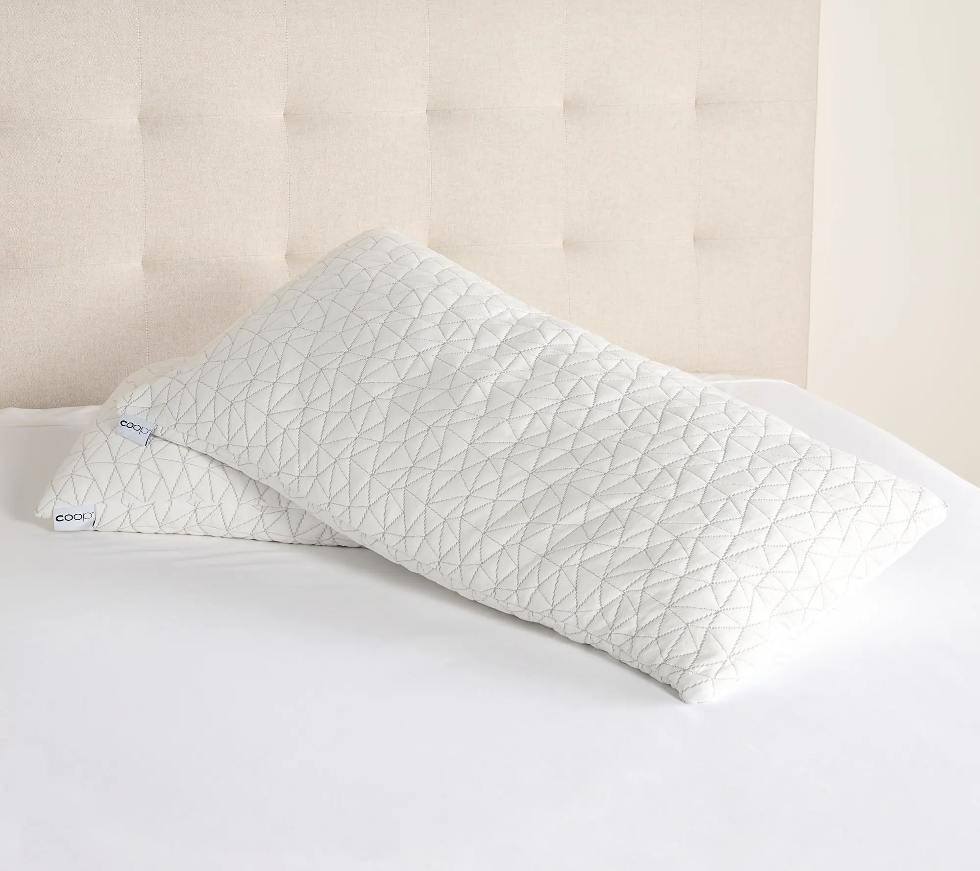 Coop Sleep Goods Original Adjustable Pillow 2pk - Queen