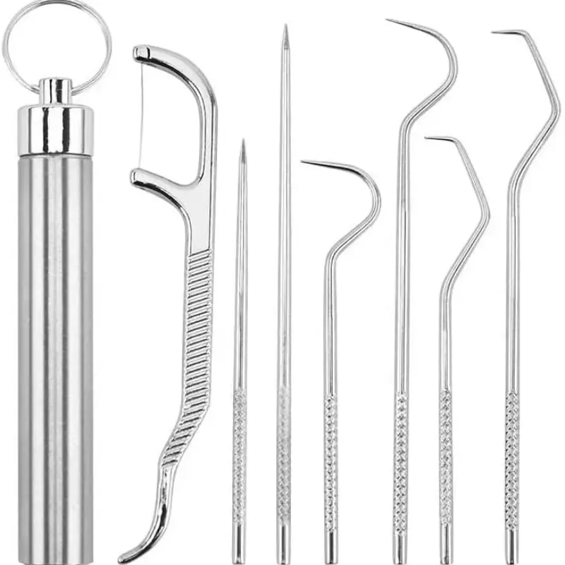 Cost-Effective 7 Pieces Stainless Steel Toothpick Kit with Portable Storage Case, Multi-Functional Oral Cleaning Tool Set Including Metal Toothpicks, Dental Floss and Dental Needles for Travel Home Daily Dental Care