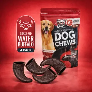 FANG 4-Pack Water Buffalo Horn Dog Chew Treats - 100% Organic, Free-Range, Grass-Fed, Grain-Free, Long-Lasting Dental Chews for Aggressive Dogs