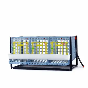 Chicken Cage - H: 15" Layer Addition - Modular 15" Layer Addition for Expanding Poultry Housing
