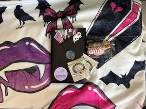 Ravens Day Dream Limited Drop Featured Blanket and Book Bundle
