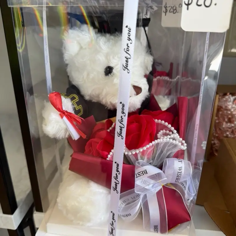 Graduation bear