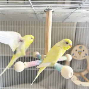 New Parrot Toy, Rotating Windmill Wood Perch, Self-Amusement Bearing Toy for Budgerigars, Monk Parakeets, Tiger Barbet, Bird Perches for Cage