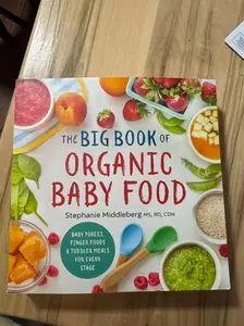 The Big Book of Organic Baby Food by Stephanie Middleberg MS RD CDN - Baby Purees Finger Foods Toddler Meals for Every Stage