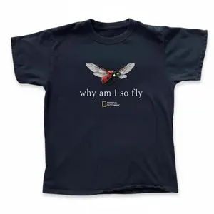 Vintage “Why Am I So Fly” Ladybug T-Shirt, Retro Nature Inspired Graphic Tee, Cute Insect Aesthetic Casual Streetwear Shirt, Black Cotton Top