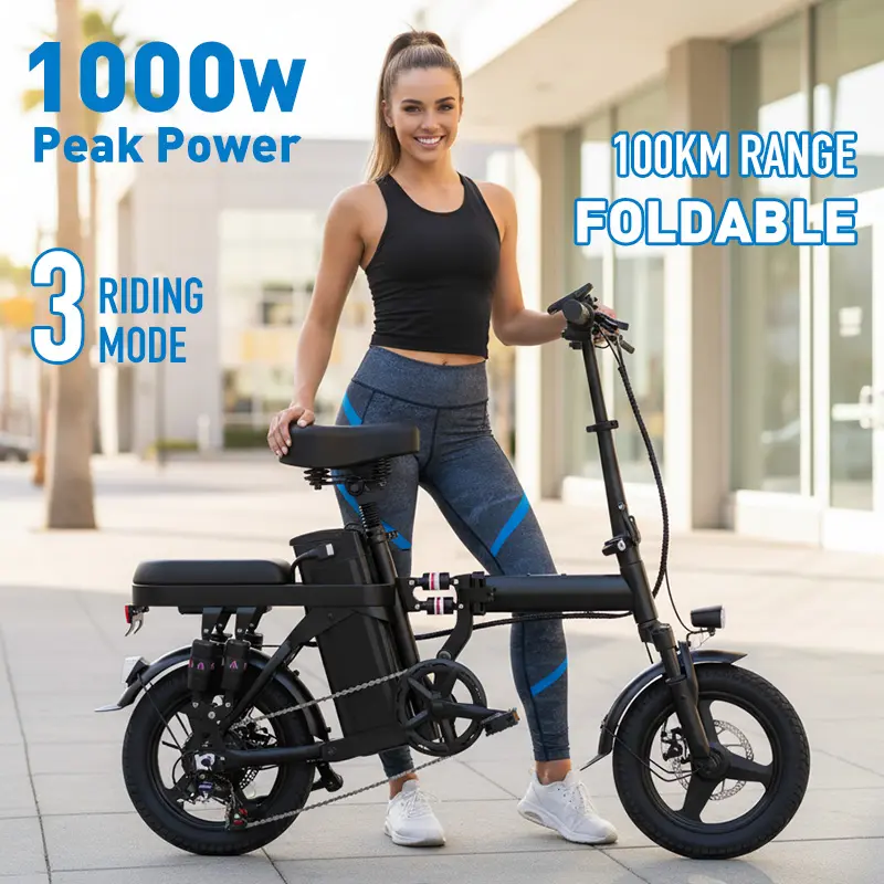 three wheel electric bicycles TriHauler Heavy Duty Fat Tire Utility eTrike, TriHauler Pro (Rear Drive 1000W / Torque Sensor) / Passionate Black / Dual Battery(20Ah+20Ah)