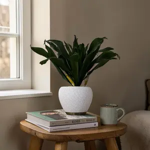 Modern Ribbed Garden Planter - Lightweight PLA Flower Pot, 3 Sizes, Eco-Friendly Biodegradable Plastic, Minimalist Design for Indoor Home Decor Pots & Garden Accessories