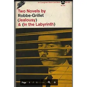 USED-Two Novels By Robbe - Grillet, Jealousy & in the Labyrinth by Robbe-Grillet (Unknown)