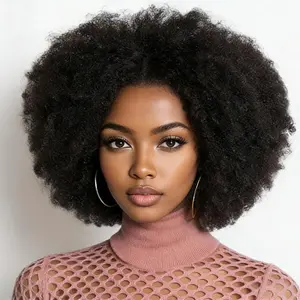 Idoli 14 Inch Afro Kinky Curly Wig Short Curly Wig Human Hair for Black Women 250% Density 13x4x2 HD Lace Frontal Wig for Daily Use with Natural Hairline Affordable Wig