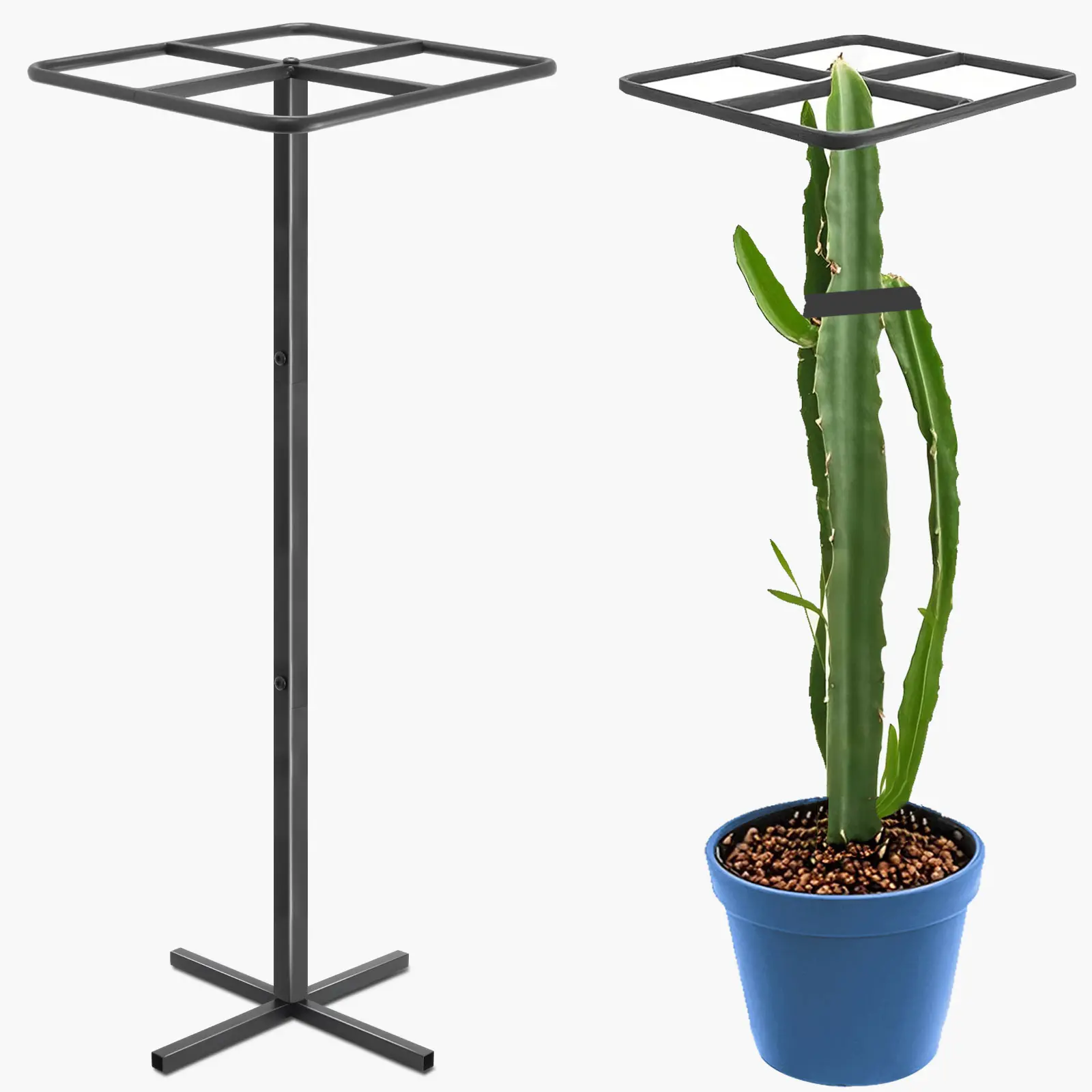 Premium Dragon Fruit Trellis, Durable Metal Stand for Vertical Gardening & Climbing Plants, Sturdy Outdoor Plant Support Frame, Ideal for Longan, Sweet Osmanthus & Pumpkin - Size: 11" X 11" X 61", Climbing Vegetable Plant, Ladder Plant Stand
