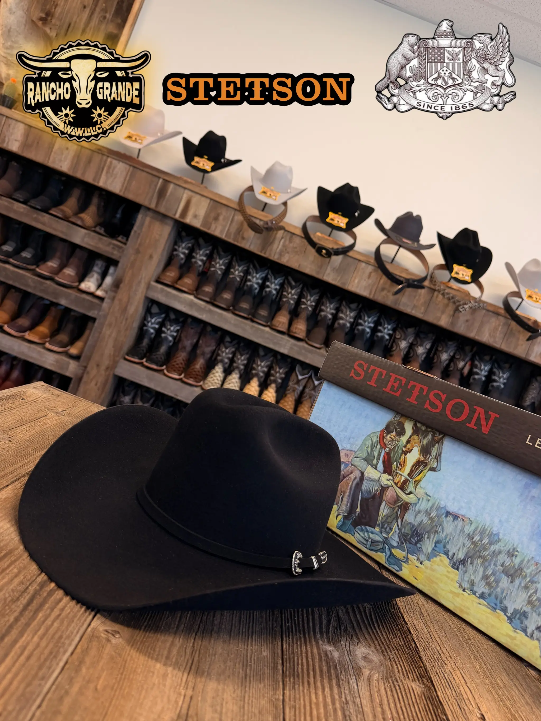 ORIGINAL 6X STETSON HAT SKYLINE / TEJANA 6X STETSON