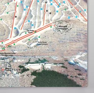 Okemo Resort Map 1989