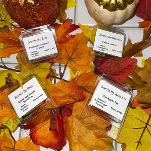 Fall Wax Melt Sample Box Fragrance
