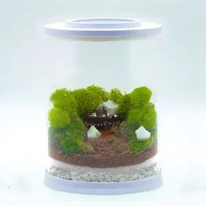 Glowing Campsite Terrarium Kit | MINI