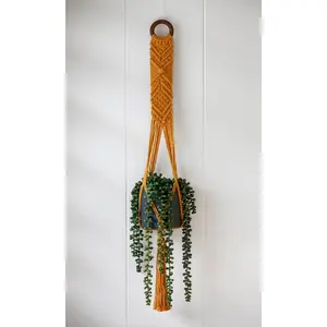 Macrame Plant Hanger - Isabella - Mustard Yellow