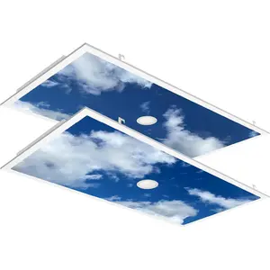 Cloud Sky LED Ceiling Panel with Built-in 4" Downlight, 2x4(24"x48") Drop Ceiling Skylight Fixture, 5-CCT| 30W-72W Adj| 9200LM,120-277V|4 Pack